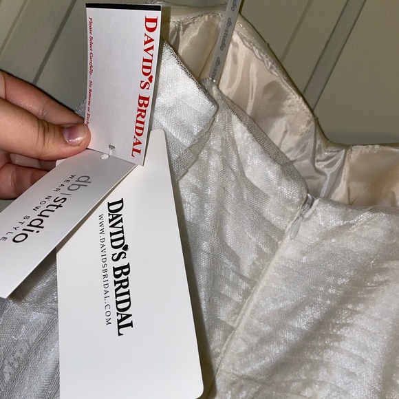 David’s Bridal Wedding Dress - Picture 6 of 6